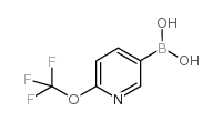 6-(三氟甲氧基)吡啶-3-硼酸结构式