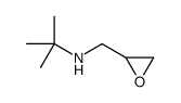 2-methyl-N-(oxiran-2-ylmethyl)propan-2-amine Structure