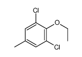 1,3-dichloro-2-ethoxy-5-methylbenzene Structure