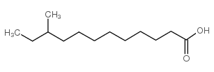 10-methyldodecanoic acid Structure