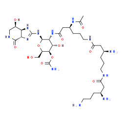 N-beta-acetylstreptothricin D Structure