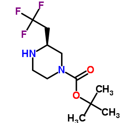 2-Methyl-2-propanyl (3S)-3-(2,2,2-trifluoroethyl)-1-piperazinecarboxylate Structure