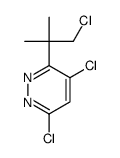 4,6-dichloro-3-(1-chloro-2-methylpropan-2-yl)pyridazine结构式