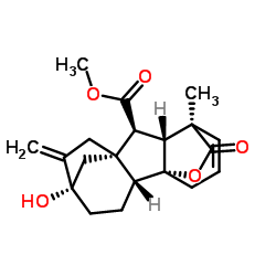 gibberellin A5 methyl ester Structure