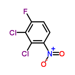 2,3-二氯-4-氟硝基苯结构式