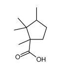 camphanecarboxylic acid Structure