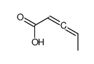 penta-2,3-dienoic acid Structure