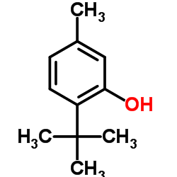 6-叔丁基间甲酚结构式