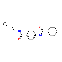 N-Butyl-4-[(cyclohexylcarbonyl)amino]benzamide结构式