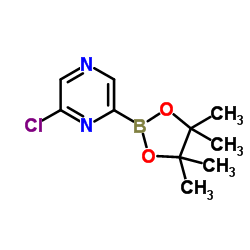 6-氯吡嗪-2-硼酸频那醇酯结构式