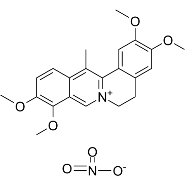 Dehydrocorydaline nitrate structure