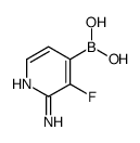 2-Amino-3-fluoropyridine-4-boronic acid Structure