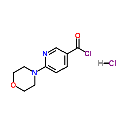 6-morpholinopyridine-3-carbonyl chloride hydrochloride Structure
