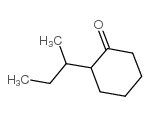 2-仲丁基环己酮结构式