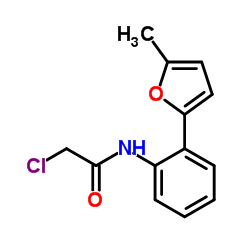 2-Chloro-N-[2-(5-methyl-2-furyl)phenyl]acetamide Structure