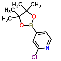 2-Chloropyridine-4-boronic acid pinacol ester Structure
