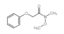 (N-甲氧基-n-甲基氨基甲酰甲基)苯氧基甲烷结构式