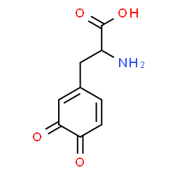1,5-Cyclohexadiene-1-propanoic acid, alpha-amino-3,4-dioxo-, methyl ester, (alphaS)- (9CI) Structure