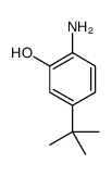 2-amino-5-tert-butylphenol Structure