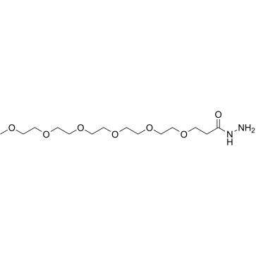 m-PEG6-Hydrazide Structure