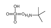 tert-butylazanium,perchlorate Structure