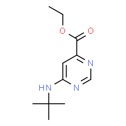 6-(叔丁基氨基)嘧啶-4-羧酸乙酯结构式