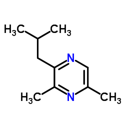 2-isobutyl-3,(5 and 6)-dimethyl pyrazine结构式