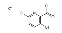 potassium 3,6-dichloropyridine-2-carboxylate structure