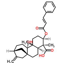 3ALPHA-肉桂酰氧基-9BETA-羟基-等效-贝壳杉-16-烯-19-酸结构式