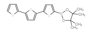 2,2'：5',2″-对噻吩-5-硼酸频哪醇酯结构式