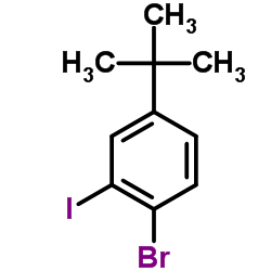 1-溴-4-(叔丁基)-2-碘苯结构式