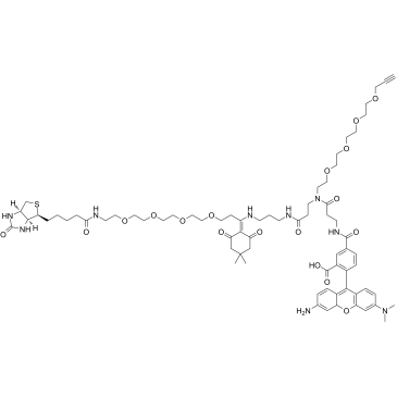 Dde Biotin-PEG4-TAMRA-PEG4 Alkyne Structure