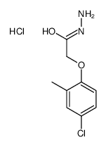 2-Methyl-4-chlorophenoxyacetic acid hydrazide hydrochloride Structure