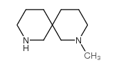 2-甲基-2,8-二氮杂螺[5.5]十一烷结构式