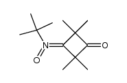 N-(2,2,4,4-tetramethyl-3-oxocyclobutylidene)-t-butylamine N-oxide Structure
