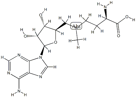 (±)-(5'-Adenosyl)[(R)-3-amino-3-carboxylatopropyl](methyl)sulfonium结构式
