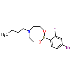 4-Bromo-2-fluorophenylboronic acid N-butyldiethanolamine ester结构式