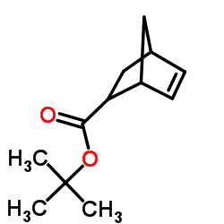 5-降冰片烯-2-羧酸叔丁酯结构式