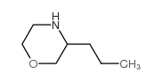 3-丙基吗啉结构式