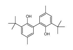 2-tert-butyl-6-(3-tert-butyl-2-hydroxy-5-methylphenyl)-4-methylphenol结构式