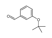 3-叔丁氧基苯甲醛结构式