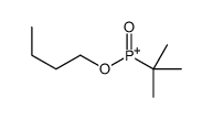 butoxy-tert-butyl-oxophosphanium结构式