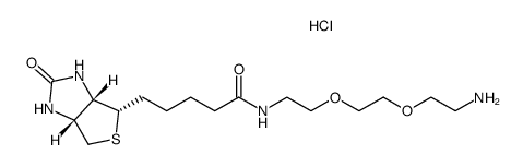 5-(2-oxo-hexahydro-thieno[3,4-d]imidazol-4-yl)-pentanoic acid{2-[2-(2-amino-ethoxy)-ethoxy]-ethyl}-amide hydrochloride salt Structure