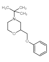4-TERT-BUTYL-2-(PHENOXYMETHYL)-MORPHOLINE Structure