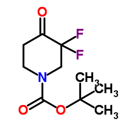 3,3-二氟-4-氧代哌啶-1-羧酸叔丁酯结构式