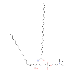 C20 Sphingomyelin (d18:1/20:0) structure