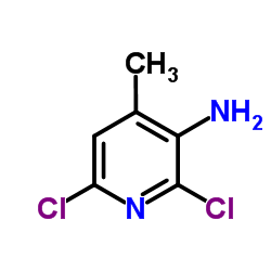 2,6-二氯-4-甲基-3-氨基吡啶结构式