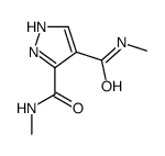 4-N,5-N-dimethyl-1H-pyrazole-4,5-dicarboxamide Structure