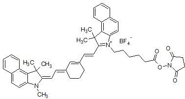 Cyanine7.5 NHS ester Structure