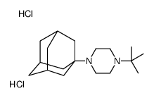1-(1-adamantyl)-4-tert-butylpiperazine,dihydrochloride Structure